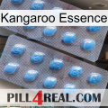 Kangaroo Essence viagra4